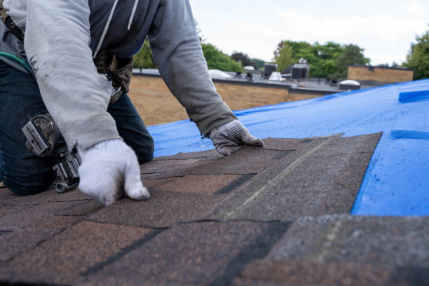 Best Roof Gutter Cleaning  in Alto, TX